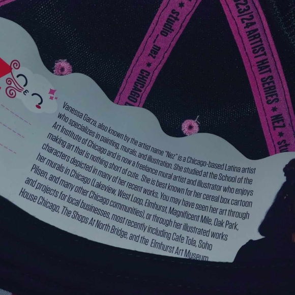 Chicago Bulls BMO Hat Artist Series Windy City Bulls SGA 3/29/2024 - Picture 7 of 9